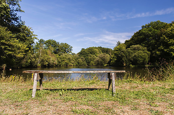 포토 JPG 해외이미지 호수 벤치 자연 풍경 사람없음 목재 물 여름 햇빛 맑음 프랑스 연못 프랑스어 해외202004 해외포토 자연요소 나무 문자 계절 유럽 의자 재료 날씨 태양 생태계 파일형식 이미지허브