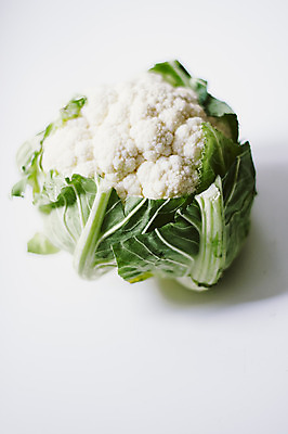 포토 JPG 해외이미지 식물 음식 백그라운드 잎 농업 다이어트 채소 재료 자연 건강 요리 사람없음 초록색 머리 사진촬영 샐러드 흰색 신선 싱글 유기농 양배추 날것 내추럴 고립 영양소 정물화 채식주의자 해외202004 해외포토 웰빙 산업 컬러 신체부위 촬영 그림 생태계 채식 파일형식 이미지허브