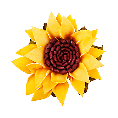 포토 JPG 해외이미지 식물 1 디자인 꽃잎 꽃 결혼 백그라운드 잎 꽃무늬 자연 해바라기 선물 사랑 사람없음 노란색 머리 정원 봄 벚꽃 흰색 신선 개화 큼 꽃집 오브젝트 싱글 복고 고립 엘리먼트 인공 해외202004 해외포토 계절 감정 컬러 무늬 이벤트 신체부위 상점 크기 생태계 파일형식 이미지허브