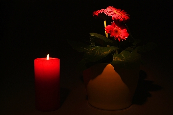 포토 JPG 해외이미지 1 종교 백그라운드 크리스마스 오렌지 촛불 불 휴가 휴식 사람없음 장식 가로 빛 노란색 교회 검은색 축제 어둠 희망 기도 축하 뜨거움 영혼 닫기 야간 심볼 싱글 신성 기념물 연소 고립 광 심지 왁스 화상 해외202004 해외포토 자연요소 기념일 감정 컬러 컨셉 과일 초 종교건축 모션 건물 상처 파일형식 이미지허브