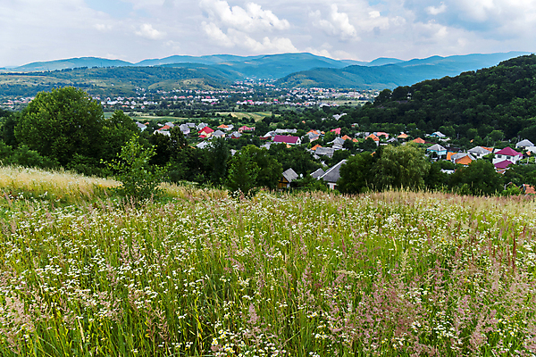 포토 JPG 해외이미지 나무 구름 계절 공원 줄기 백그라운드 잎 밭 자연 하늘 아침 산 파노라마 풍경 사람없음 야외 초록색 여름 파란색 컬러풀 햇빛 농경지 정원 봄 활발 시골 숲 땅 해외202004 해외포토 주간 자연요소 식물 공공시설 컬러 컨셉 농업 촬영기법 태양 농장 생태계 파일형식 이미지허브
