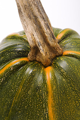 포토 JPG 해외이미지 계절 음식 백그라운드 채소 오렌지 자연 호박 휴가 사람없음 장식 정원 할로윈 수확 가을 축하 맛 11월 꼬리 포도나무 추수감사절 10월 고립 해외202004 해외포토 기독교 컨셉 농업 과일 날짜 과일나무 생태계 파일형식 이미지허브