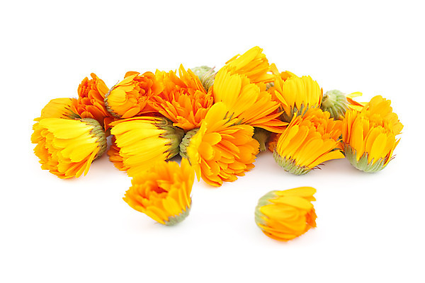 포토 JPG 해외이미지 식물 꽃잎 꽃 오렌지 건조 사람없음 개화 약초 허브 흰배경 해외202004 해외포토 백그라운드 과일 흰색 풀_식물 파일형식 이미지허브
