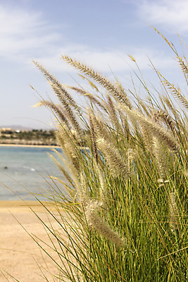 포토 JPG 해외이미지 식물 전통문화 모래 바다 여행 백그라운드 아프리카 자연 표면 휴가 이집트 풍경 사람없음 야외 물 여름 모래사장 햇빛 태양 봄 역사 장면 홍해 고고학 소금물 침몰 파라다이스 해외202004 해외포토 자연요소 전통 계절 교육 나라 문화 생태계 파일형식 이미지허브