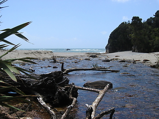 포토 JPG 해외이미지 나무 바다 하늘 풍경 사람없음 목재 물 강 개울 황무지 뉴질랜드 통나무 해외202004 해외포토 자연요소 식물 재료 오세아니아 파일형식 이미지허브