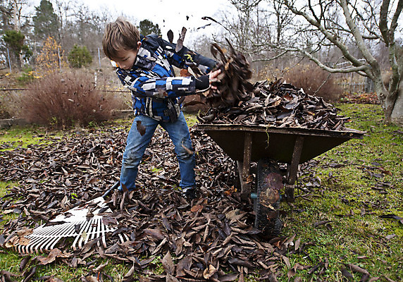 포토 JPG 해외이미지 나무 계절 어린이 잎 자연 한명 소년 잔디 야외 초록색 쌓기 수레 가을 업무 11월 청소 수집 원예 흙더미 10월 갈퀴 땅바닥 해외202004 해외포토 식물 1 남자 컬러 모션 바닥 사람 취미 흙 카트 작업 날짜 생태계 파일형식 더미 이미지허브