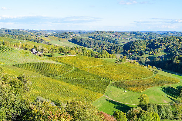 포토 JPG 해외이미지 모양 유럽 도로 잎 패턴 자연 벽지 포도 휴식 주택 사랑 사람 풍경 사람없음 초록색 컬러풀 노란색 여행객 걷기 와인 가을 하트 숲 언덕 포도밭 장면 슬로베니아 해외202004 해외포토 식물 계절 감정 나라 길 컬러 컨셉 무늬 밭 과일 교통시설 모션 주류 건물 생태계 파일형식 이미지허브