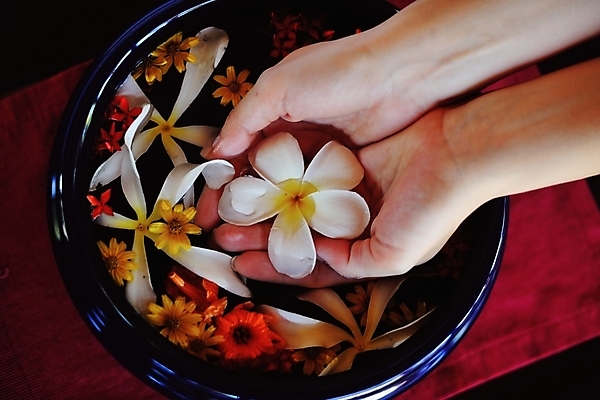 포토 JPG 해외이미지 손 꽃 들기 신체부위 물 수건 스파 손모으기 대야 해외포토 자연요소 식물 모션 사람 손짓 위생용품 파일형식 이미지허브