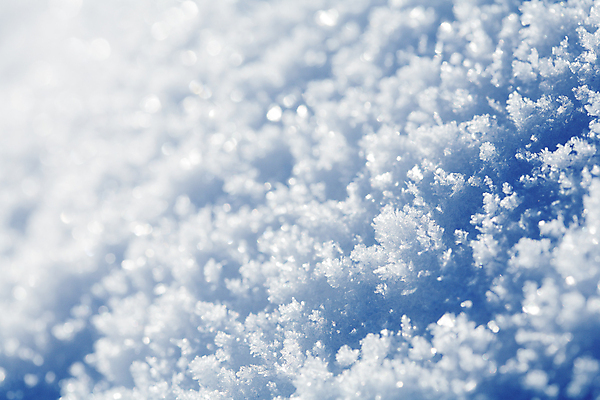 포토 JPG 해외이미지 계절 백그라운드 겨울 자연 표면 사람없음 추위 거친 시원함 북극 질감 내추럴 눈내림 해외202004 해외포토 눈_날씨 극지방 생태계 파일형식 이미지허브