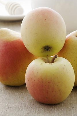 포토 JPG 해외이미지 음식 다이어트 재료 자연 디저트 건강 사람없음 빨간색 가을 신선 달콤 맛 먹기 유기농 날것 내추럴 숙성 채식주의자 해외202004 해외포토 웰빙 계절 컬러 컨셉 모션 생태계 채식 파일형식 이미지허브