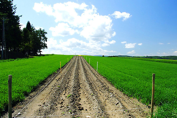 포토 JPG 해외이미지 모래 사람없음 해외202004 해외포토 파일형식 이미지허브