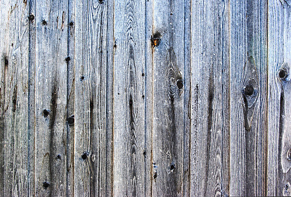 포토 JPG 해외이미지 식물 디자인 벽 가구 백그라운드 패턴 자연 벽지 표면 날씨 추상 바닥 주택 외벽 사람없음 건물 목재 세로 울타리 갈색 문 어둠 줄무늬 골동품 소나무 판넬 거친 널 낟알 목수 질감 내추럴 그런지 사생활 수목 옛날 줄서기 해외202004 해외포토 나무 직업 건축물 컬러 생활용품 무늬 재료 모션 담장 생태계 파일형식 이미지허브