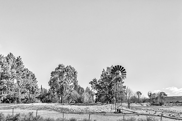 포토 JPG 해외이미지 나무 여행 겨울 농업 아프리카 아침 흑백 풍경 사람없음 햇빛 농장 맑음 검은색 회색 풍차 흰색 시골 관목 남아프리카 해외202004 해외포토 주간 식물 계절 나라 산업 컬러 날씨 촬영기법 태양 파일형식 이미지허브