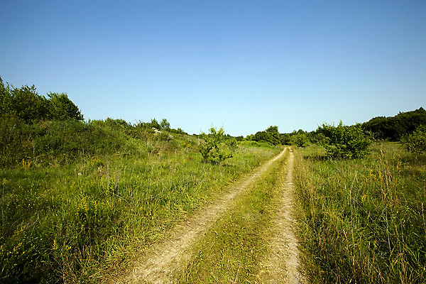 포토 JPG 해외이미지 나무 식물 계절 문화 도로 선 여행 잎 밭 농업 자연 하늘 거리 옥수수 풍경 사람없음 야외 목재 초록색 파란색 햇빛 농장 갈색 자유 시골 거친 중앙 숲 땅 먼지 장면 지역 구식 굴곡 길가 넘어짐 방법 줄서기 소멸 세련 해외202004 해외포토 산업 길 컬러 컨셉 재료 교통시설 모션 곡류 태양 생태계 파일형식 이미지허브