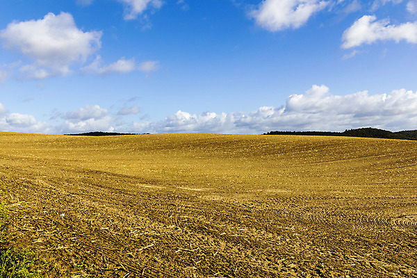 포토 JPG 해외이미지 식물 구름 계절 유럽 백그라운드 밭 농업 자연 하늘 독일 풍경 사람없음 여름 파란색 농경지 노란색 수확 가을 시골 밀 질감 밀짚 수평선 해외202004 해외포토 자연요소 나라 산업 컬러 곡류 농장 짚 생태계 파일형식 이미지허브