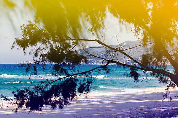 포토 JPG 해외이미지 구름 모래 바다 섬 여행 백그라운드 자연 하늘 휴가 풍경 사람없음 물 여름 파란색 침묵 그림 각도 베트남 로스앤젤레스 다도해 베네수엘라 이국적 터키석 파나마 해외202004 해외포토 자연요소 계절 컬러 동남아시아 미국 소리 남아메리카 보석 생태계 파일형식 이미지허브