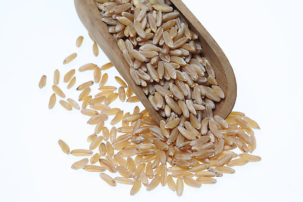 포토 JPG 해외이미지 음식 사람없음 낟알 시리얼 작살 해외202004 해외포토 파일형식 이미지허브