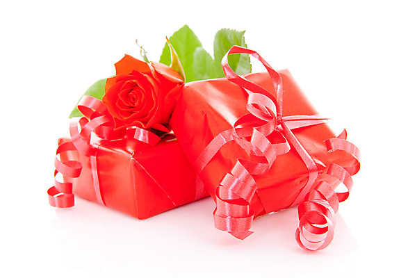 포토 JPG 해외이미지 꽃 리본 잎 자연 발렌타인데이 선물 사랑 사람없음 빨간색 장미 놀람 생일 활 고립 해외202004 해외포토 식물 기념일 감정 컬러 데이이벤트 표정 생태계 파일형식 이미지허브