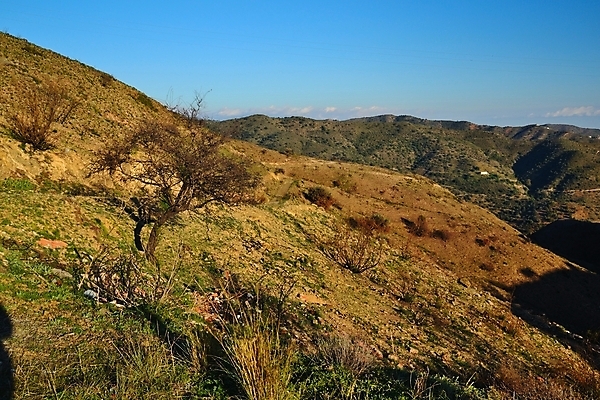 포토 JPG 해외이미지 나무 구름 하늘 산 사람없음 야외 초록색 계곡 스페인 숲 언덕 슬로프 내추럴 해외202004 해외포토 자연요소 식물 유럽 컬러 스키장 파일형식 이미지허브