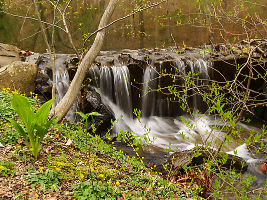 포토 JPG 해외이미지 식물 계절 공원 꽃 자연 새로움 풍경 잔디 사람없음 야외 목재 초록색 물 강 농장 노란색 걷기 환경 달러 정원 봄 폭포 하이킹 바위 시골 신선 개울 재산 떨어짐 숲 원예 내추럴 생태학 옛날 저지 해외202004 해외포토 자연요소 나무 공공시설 교육 컬러 컨셉 돈 농업 재료 모션 레저 취미 금융 돌_바위 생태계 파일형식 이미지허브