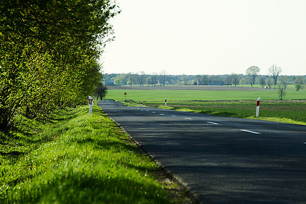 포토 JPG 해외이미지 나무 도로 밭 풍경 사람없음 야외 초록색 검은색 아스팔트 방법 선로 해외202004 해외포토 식물 길 컬러 농업 교통시설 파일형식 이미지허브