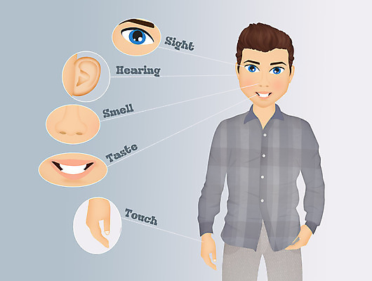 포토 JPG 해외이미지 손 일러스트 건강 사람없음 약 입 맛 코 시력 냄새 귀 5 청각 해외202004 해외포토 컨셉 의학 신체부위 숫자 파일형식 이미지허브