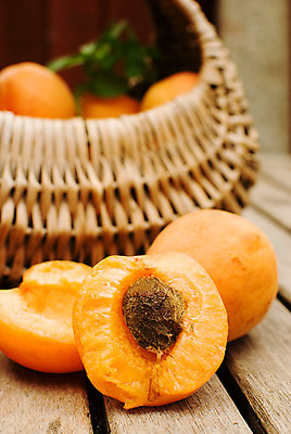 포토 JPG 해외이미지 식물 음식 잎 농업 다이어트 오렌지 탁자 건강 사람없음 목재 초록색 바구니 수확 시골 신선 그룹 달콤 맛 유기농 날것 성분 흙더미 토막 내추럴 살구 숙성 정물화 채식주의자 해외202004 해외포토 나무 웰빙 산업 컬러 가구 컨셉 과일 재료 흙 그림 채식 파일형식 더미 이미지허브