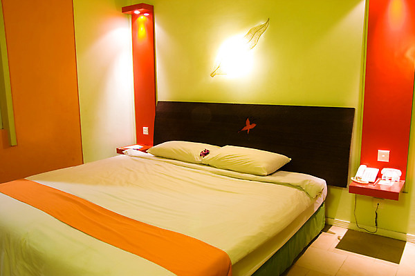 포토 JPG 해외이미지 디자인 여행 나비 베개 호텔 휴가 휴식 실내 사람없음 내부 목재 장식 빛 침실 방 덮개 침대 램프 잠 고급 시트 여관 더블 안락 해외202004 해외포토 나무 가구 곤충 컨셉 재료 침구 숙소 조명 뚜껑 파일형식 이미지허브