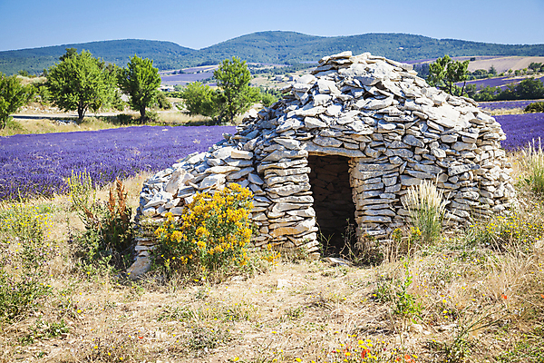 포토 JPG 해외이미지 식물 꽃 유럽 백그라운드 밭 농업 자연 하늘 풍경 사람없음 여름 컬러풀 보라색 프랑스 시골 제비꽃 향기 라벤더 내추럴 프로방스 해외202004 해외포토 계절 나라 산업 컬러 허브 생태계 냄새 파일형식 이미지허브