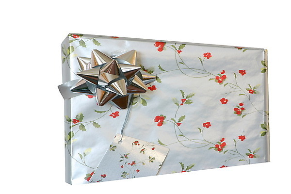 포토 JPG 해외이미지 전통 계절 기념일 리본 종이 크리스마스 포장 탁자 휴가 새로움 기념 선물 사랑 사람없음 장식 상자 꼬리표 놀람 덮개 흰색 축하 신용카드 생일 은색 예측 비밀 포장지 오브젝트 활 호기심 주기 기회 패키지 고립 포장소품 항목 해외202004 해외포토 감정 컬러 가구 컨셉 모션 표정 이벤트 금융 라벨 뚜껑 포장재료 파일형식 이미지허브