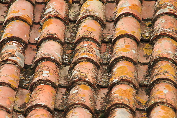 포토 JPG 해외이미지 백그라운드 지붕 이끼 사람없음 빨간색 갈색 회색 골동품 중세 중앙 타일 옛날 해외202004 해외포토 컬러 역사 파일형식 이미지허브