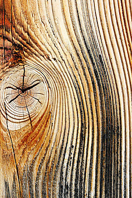 포토 JPG 해외이미지 전통 디자인 가구 백그라운드 패턴 탁자 표면 날씨 바닥 사람없음 목재 갈색 어둠 줄무늬 손상 수확 시골 소나무 판넬 거친 널 낟알 묘사 유기농 질감 복고 매듭 목공예 전나무 잡동사니 내추럴 그런지 수목 옛날 합판 가문비나무 파케트 해외202004 해외포토 나무 웰빙 컬러 생활용품 컨셉 무늬 농업 재료 공예 파일형식 이미지허브