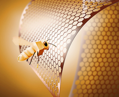 포토 JPG 해외이미지 음식 곤충 백그라운드 자연 추상 노동자 세포 건강 사람없음 빛 노란색 금속 나사 재산 황금 꿀벌 바쁨 육각형 꿀 여왕 벌집 동물상 밀랍 해외202004 해외포토 도형 동물 직업 컬러 무늬 재질 금융 조형물 공구 벌_곤충 생태계 파일형식 이미지허브