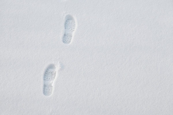 포토 JPG 해외이미지 여행 신발 겨울 자국 발 자연 날씨 부츠 사람없음 야외 달리기 우주 얼음 산책 하이킹 추위 흰색 신선 매끈함 발자국 묘사 서리 단계 땅바닥 선로 양발 자취 하이커 눈내림 카피스페이스 유일 해외202004 해외포토 자연요소 계절 컬러 모션 레저 휴식 바닥 눈_날씨 신체부위 공백 감각 생태계 파일형식 이미지허브