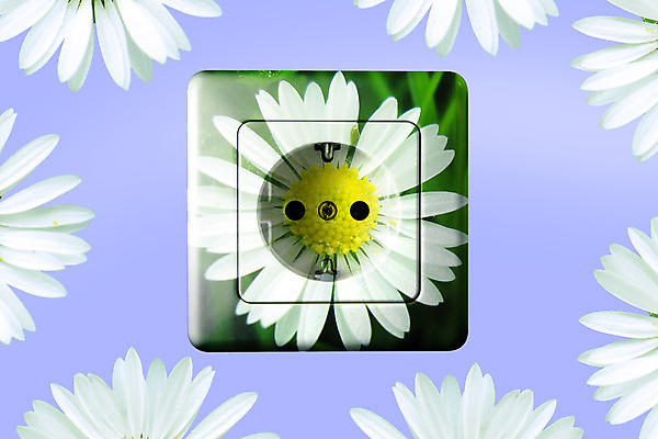 포토 JPG 해외이미지 꽃 컨셉 돈 사람없음 초록색 금융 경제 태양 환경 힘 흐름 저축 에너지 콘센트 플러그 연결 데이지 상업 무료 생태학 위기 전압 현재 공급 비용 수수료 해외202004 해외포토 자연요소 식물 교육 컬러 재산 요금 파일형식 이미지허브