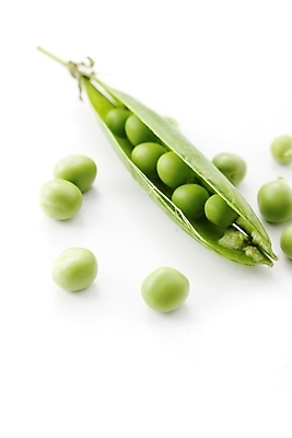 포토 JPG 해외이미지 음식 채소 요리 사람없음 초록색 정원 준비 유기농 완두콩 해외202004 해외포토 웰빙 컬러 콩 파일형식 이미지허브