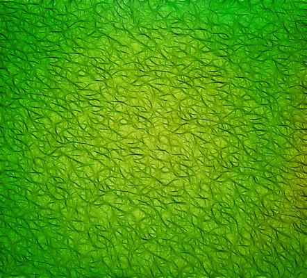 포토 JPG 해외이미지 외관 벽 백그라운드 컨셉 패턴 벽지 표면 날씨 추상 미술 사람없음 초록색 직물 닫기 타일 질감 만들기 사암 골절 구식 깨짐 땅바닥 콘크리트 해외202004 해외포토 컬러 무늬 의학 모션 문화예술 바닥 돌_바위 파일형식 이미지허브