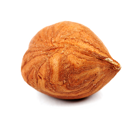 포토 JPG 해외이미지 1 음식 다이어트 재료 건강 씨앗 사람없음 갈색 견과류 흰색 신선 원형 맛 오브젝트 싱글 알맹이 내추럴 개암나무 고립 핵심 개암 해외202004 해외포토 도형 나무 식물 열매 컬러 컨셉 파일형식 이미지허브