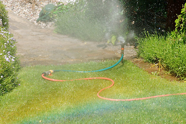 포토 JPG 해외이미지 무지개 잔디 사람없음 물 물방울 화단 분무기 스프링쿨러 해외202004 해외포토 자연요소 식물 파일형식 이미지허브