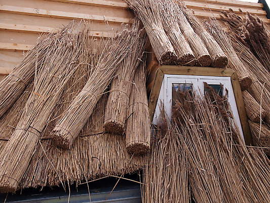 포토 JPG 해외이미지 전통 유럽 문화 건축양식 창문 지붕 영국 잉글랜드 주택 덴마크 사람없음 건물 농장 마을 시골 볏짚 시골집 아일랜드 밀짚 구식 볏집 옛날 스타일 스코틀랜드 해외202004 해외포토 건축물 건축 나라 농업 북유럽 짚 파일형식 이미지허브