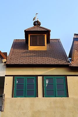 포토 JPG 해외이미지 모양 디자인 백그라운드 컨셉 2 패턴 자연 탁자 추상 휴가 발렌타인데이 선물 사랑 미술 사람없음 목재 장식 갈색 우주 수확 하트 마음 축하 인사 신용카드 거친 널 심볼 책상 오브젝트 사인 질감 복고 옛날 해외202004 해외포토 나무 감정 컬러 가구 무늬 농업 재료 데이이벤트 문화예술 금융 예절 생태계 파일형식 이미지허브