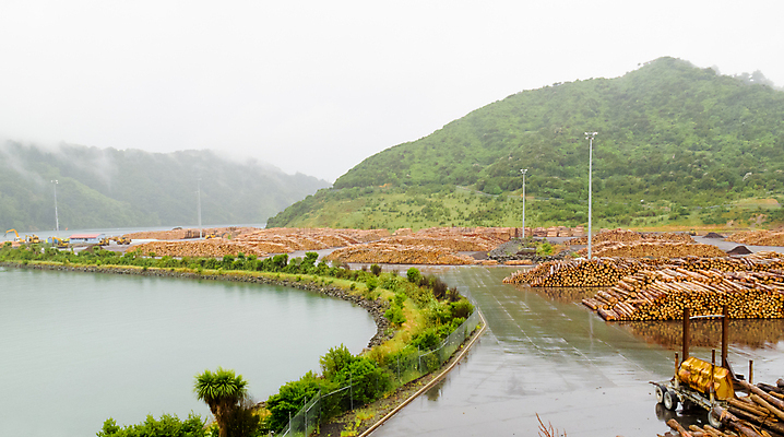 포토 JPG 해외이미지 나무 산업 사람없음 목재 쌓기 환경 힘 재활용 손상 에너지 수확 장작 자르기 통나무 목공예 자원 잡동사니 내추럴 방앗간 벌목 수목 해외202004 해외포토 식물 컨셉 농업 재료 모션 공예 친환경 파일형식 이미지허브