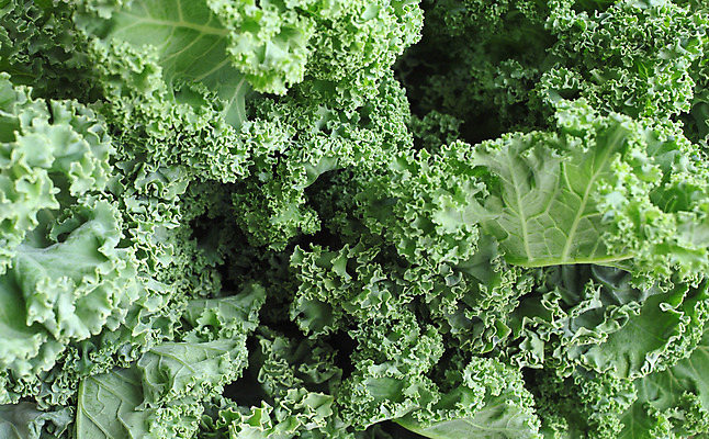 포토 JPG 해외이미지 식물 음식 백그라운드 잎 패턴 채소 재료 건강 사람없음 가로 초록색 신선 그룹 닫기 다발 유기농 질감 양배추 날것 식용 채식주의자 케일 비건 해외202004 해외포토 웰빙 컬러 무늬 모션 채식 파일형식 이미지허브