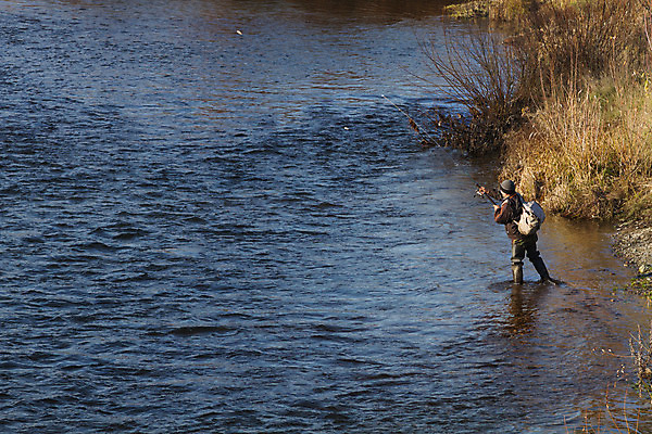 포토 JPG 해외이미지 1 남자 스포츠 자연 낚시 어류 한명 사람 풍경 취미 야외 목재 물 강 가을 잡기 개울 낚시꾼 미끼 해외202004 해외포토 자연요소 나무 계절 재료 모션 레저 수중동물 생태계 파일형식 이미지허브