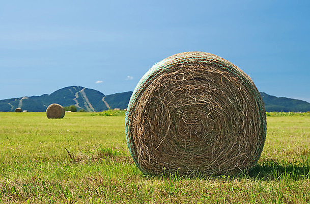 포토 JPG 해외이미지 계절 산업 음식 백그라운드 캐나다 밭 농업 자연 하늘 산 건조 풍경 사람없음 초록색 여름 파란색 농장 농경지 노란색 쌓기 맑음 수확 가을 시골 원형 황금 건초더미 볏짚 땅 묘사 롤 뭉치 밀짚 내추럴 밭일 수평선 해외202004 해외포토 도형 컬러 북아메리카 모션 날씨 건초 짚 생태계 파일형식 더미 이미지허브