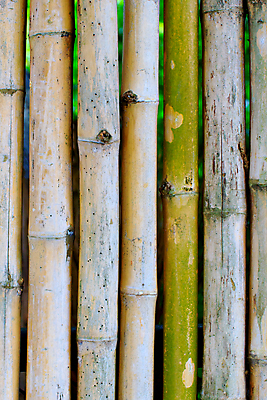 포토 JPG 해외이미지 나무 식물 전통 디자인 아시아 문화 선 벽 백그라운드 패턴 건축양식 자연 벽지 동양인 사람없음 목재 장식 울타리 갈색 노란색 정원 일본 중국 나뭇가지 원형 막대기 숲 다발 묶기 대나무 묘사 보따리 유기농 질감 나무껍질 내추럴 그런지 옛날 해외202004 해외포토 도형 웰빙 건축 나라 컬러 무늬 재료 모션 인종 담장 껍질 생태계 파일형식 이미지허브
