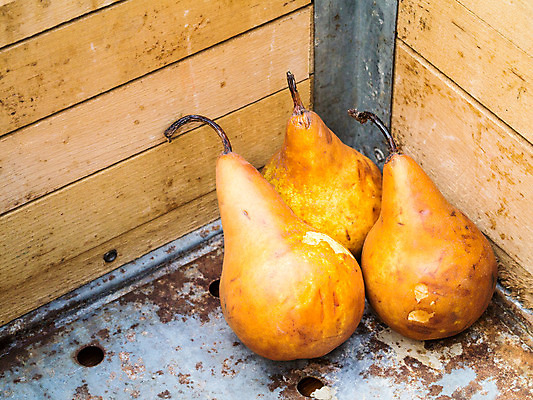 포토 JPG 해외이미지 과일 3 사람없음 상자 침묵 신선 숙성 해외202004 해외포토 소리 파일형식 이미지허브