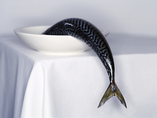 포토 JPG 해외이미지 동물 접시 음식 바다 백그라운드 2 다이어트 낚시 귤 파슬리 건강 육류 어류 사람없음 초록색 물 강 노란색 머리 쌓기 수중 흰색 죽음 신선 그룹 은색 지중해 먹기 레몬 해산물 피부 향신료 꼬리 날것 영양 후추 어장 잉어 내추럴 고립 단백질 민물 해외202004 해외포토 자연요소 식기 컬러 채소 과일 식재료 모션 레저 신체부위 수중동물 영양소 향미료 파일형식 이미지허브