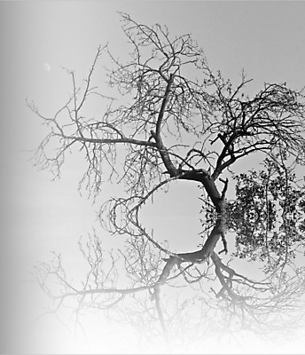 포토 JPG 해외이미지 2 추상 흑백 미술 사람없음 반사 검은색 어둠 거울 회색 달 흰색 해외202004 해외포토 자연요소 컬러 무늬 문화예술 촬영기법 파일형식 이미지허브