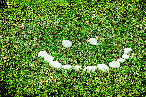 포토 JPG 해외이미지 식물 공원 백그라운드 잎 밭 자연 벽지 잔디 사람없음 야외 가로 초록색 환경 활발 흰색 신선 보호 땅 배열 허브 원예 질감 심플 각도 내추럴 해외202004 해외포토 공공시설 컬러 컨셉 농업 취미 생태계 파일형식 이미지허브